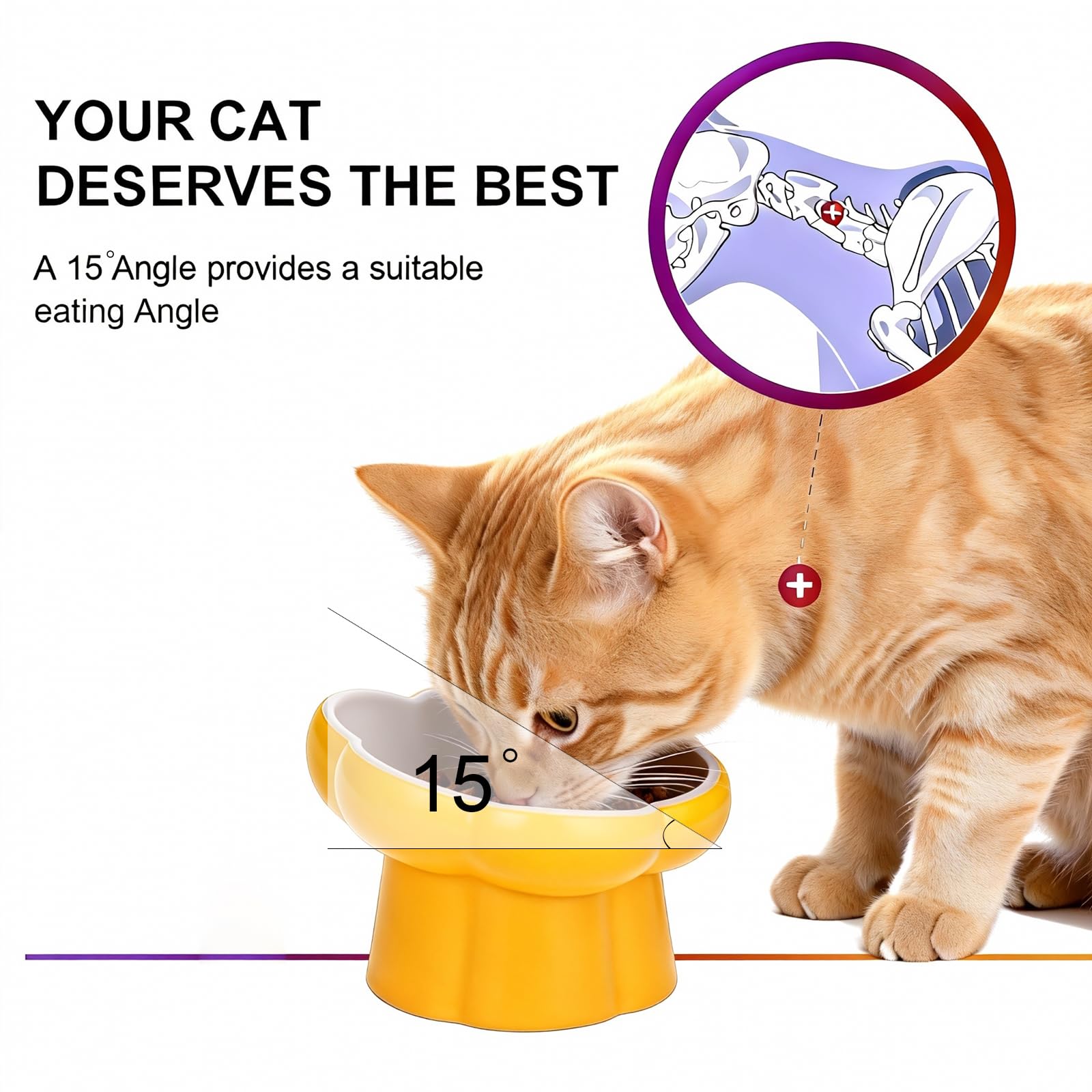 Koieam bowl accommodates dry kibble and wet food with ease