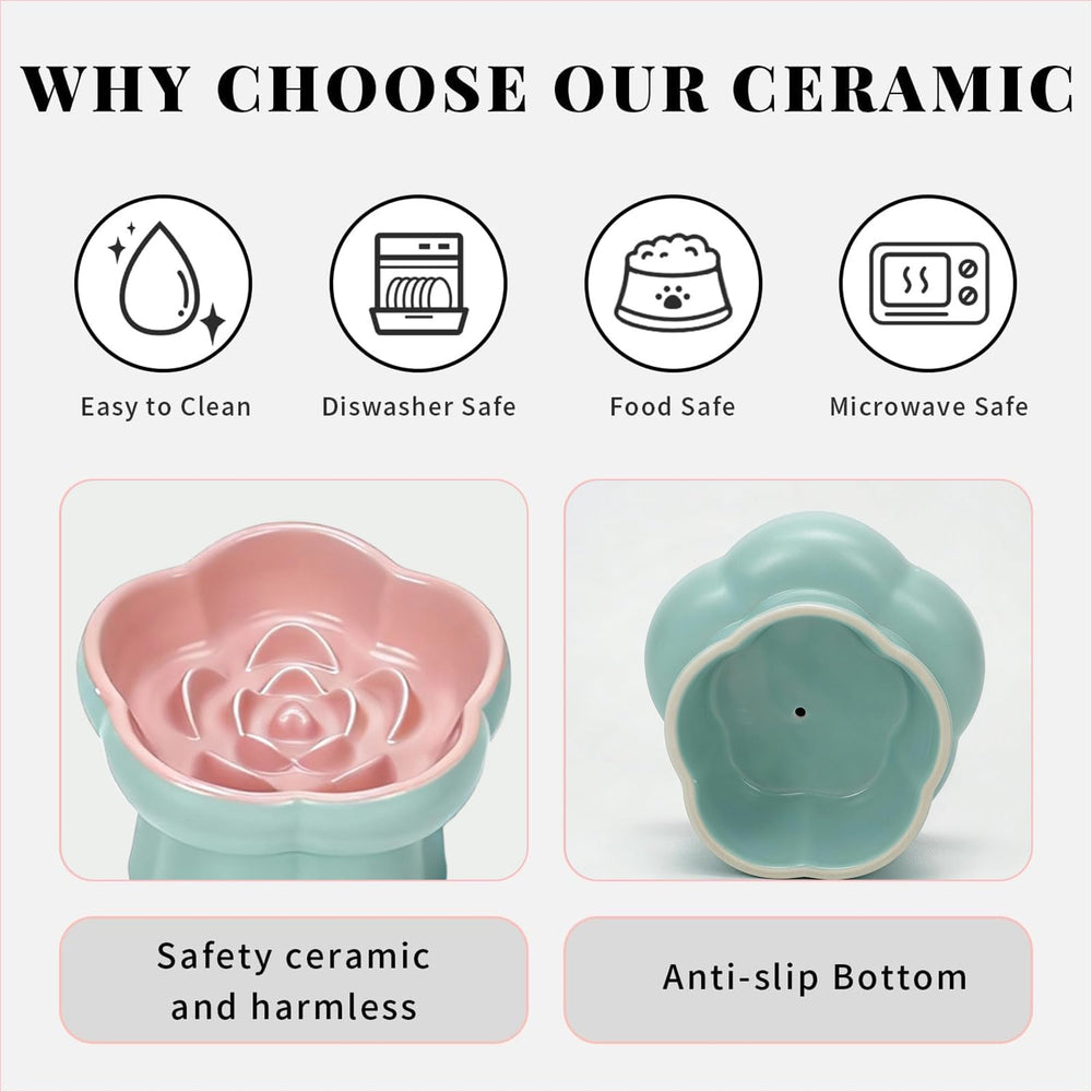 Koieam glaze is non-toxic and safe for everyday cat dining
