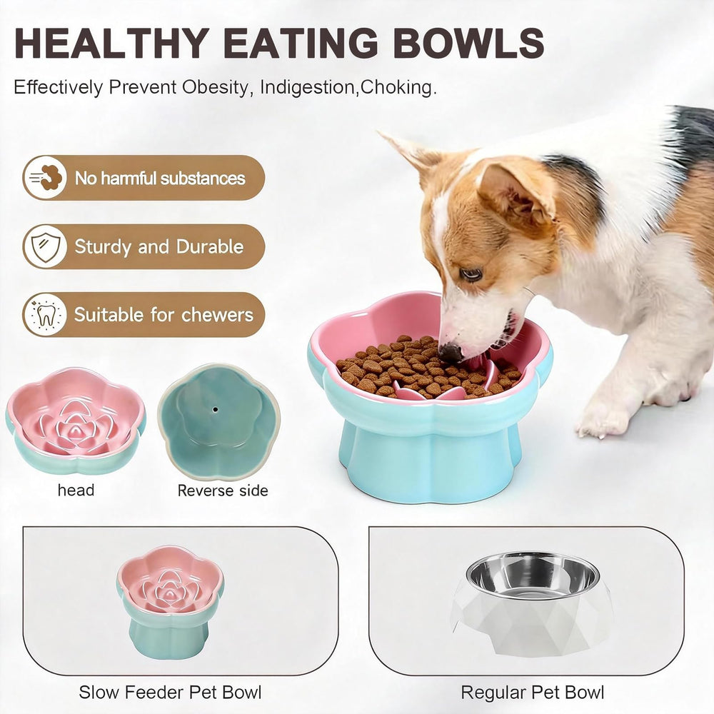 Koieam ceramic bowl with non-slip base stays steady during meals