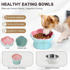 Koieam ceramic bowl with non-slip base stays steady during meals