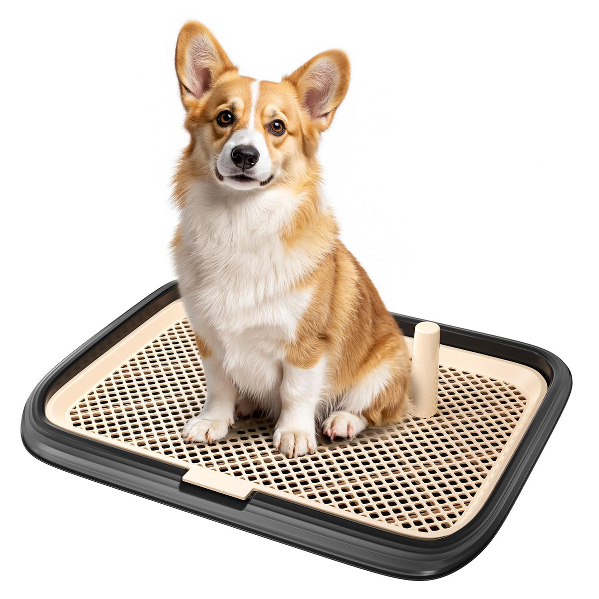 KOLA PANDA dog potty tray with indoor pad holder for mess-free training