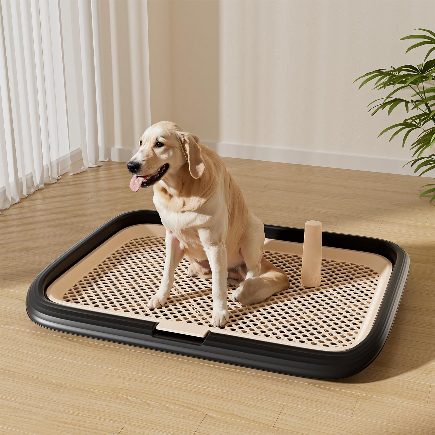 Suitable for small to medium dogs in apartments and homes