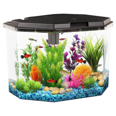 Koller AP650 aquarium front view with LED lighting for immersive home viewing.