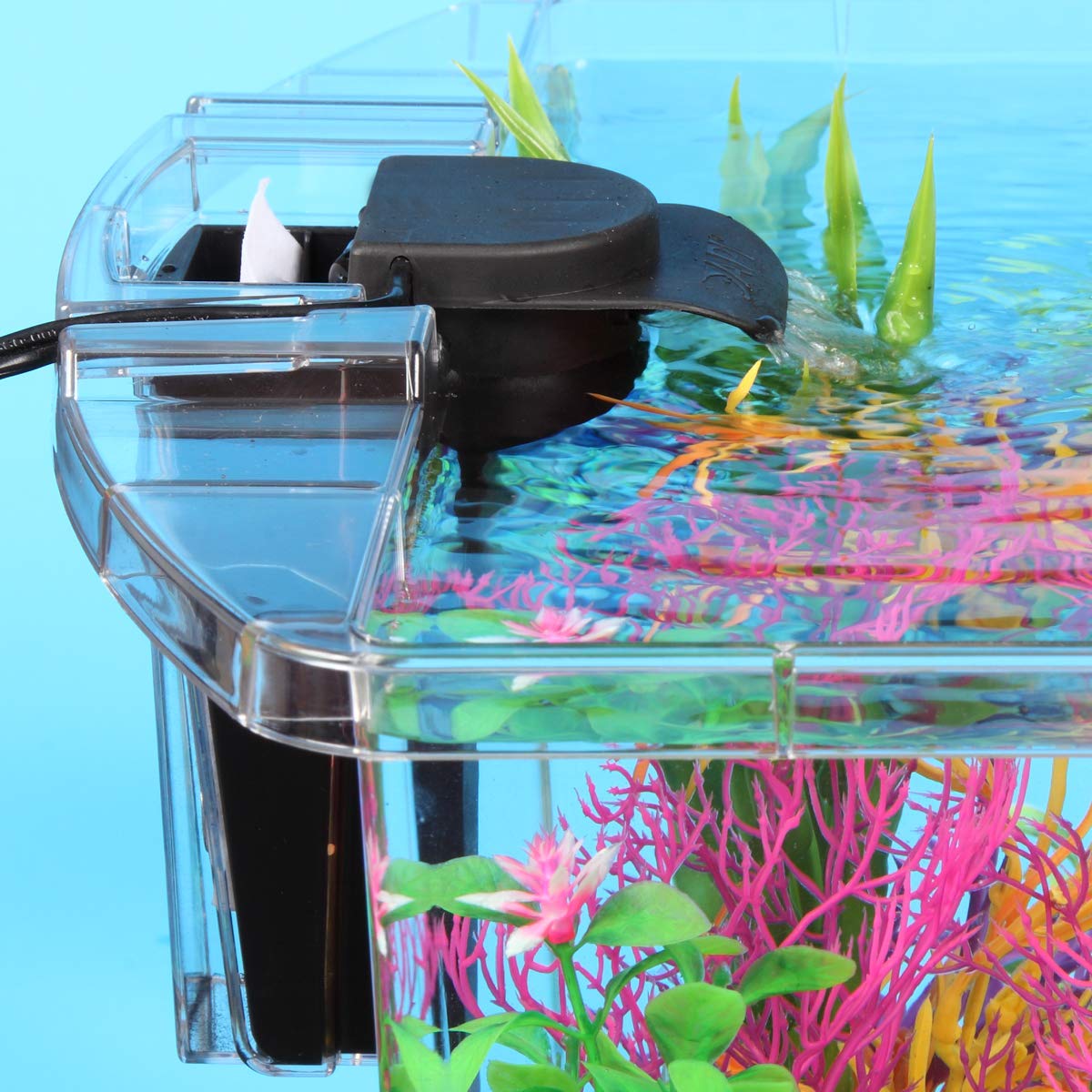 Koller AquaView 3-Gallon desk aquarium showcases fish on your workspace.