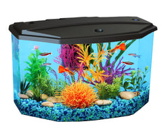 Koller Products AquaView 3-Gallon aquarium LED lighting enhances color and viewing.