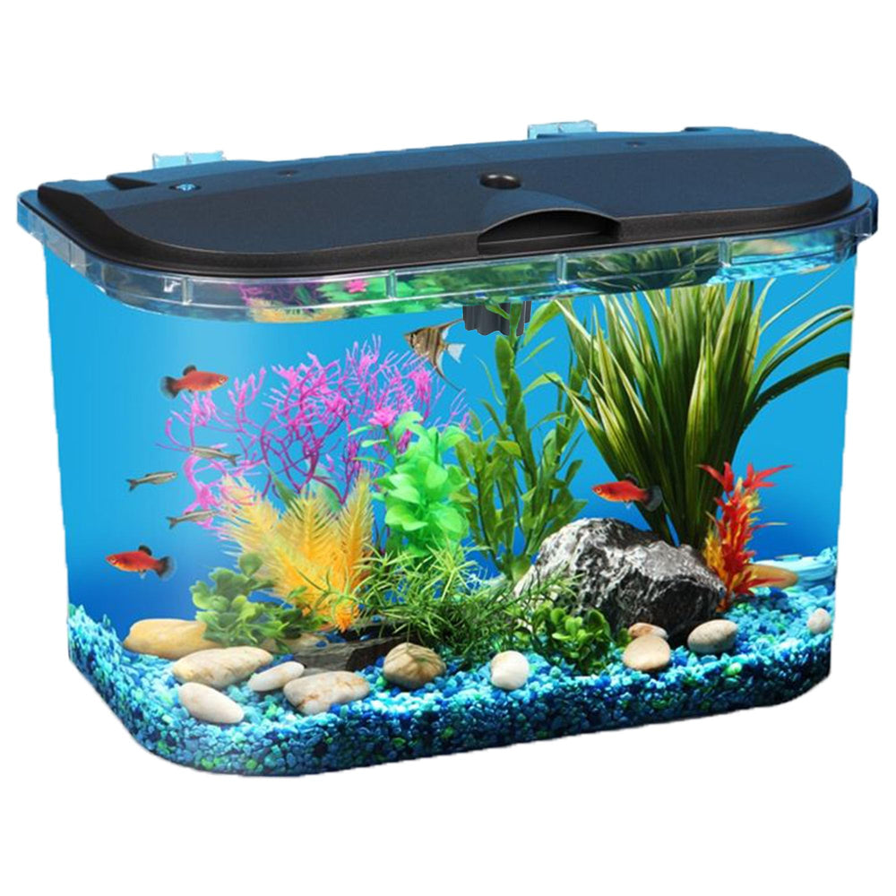 Koller Panaview 5-gallon aquarium with LED lighting enhances color and mood.