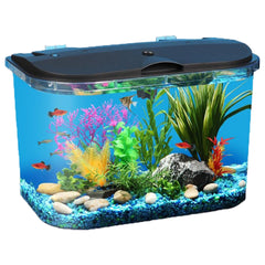 Koller Panaview 5-gallon aquarium with LED lighting enhances color and mood.