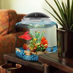 Koller Products BettaTank crystal-clear body promotes viewing from multiple angles.