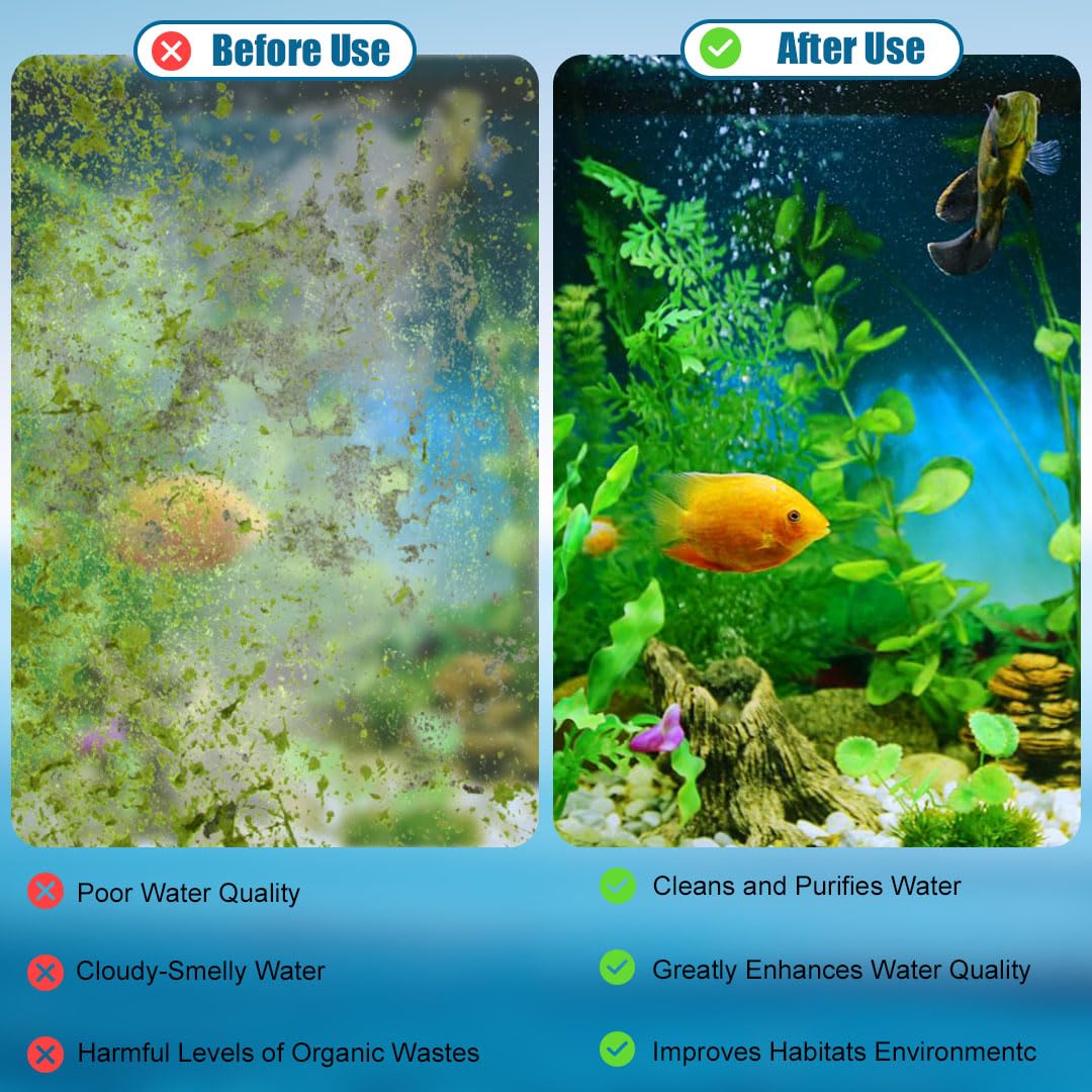 Koller Products internal power filter shown in-tank setup supporting tropical fish.
