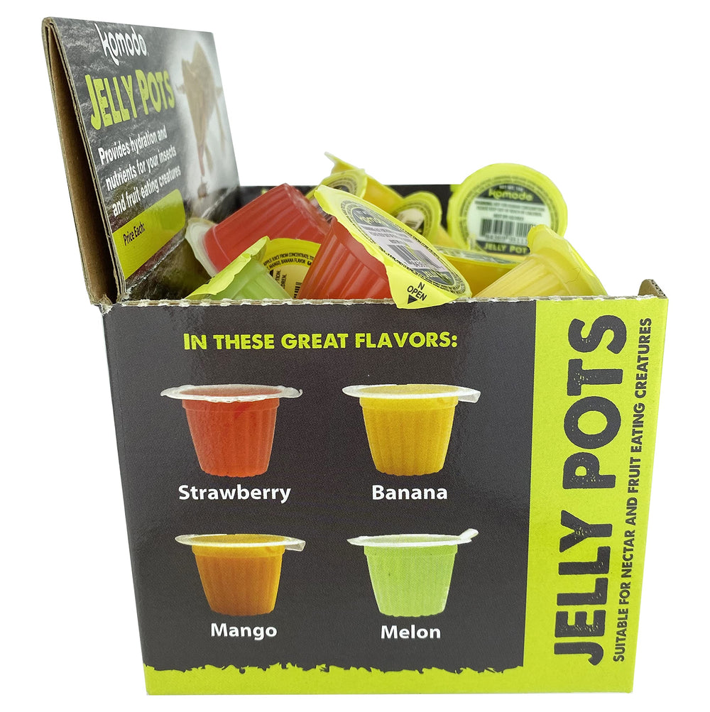 Komodo Jelly Pots strawberry flavor ready for insect or fruit eating pets