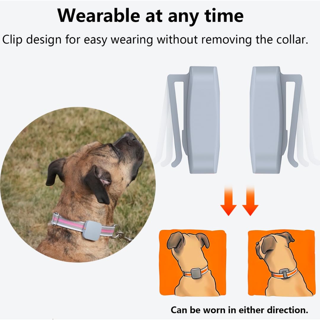 Kona Clip leash-training reminder helps keep dog focused on walks