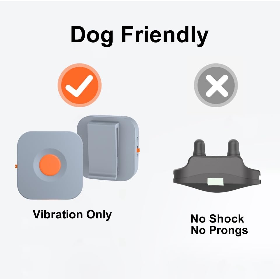 Kona Clip receiver on dog collar shows discreet, gentle vibration cue