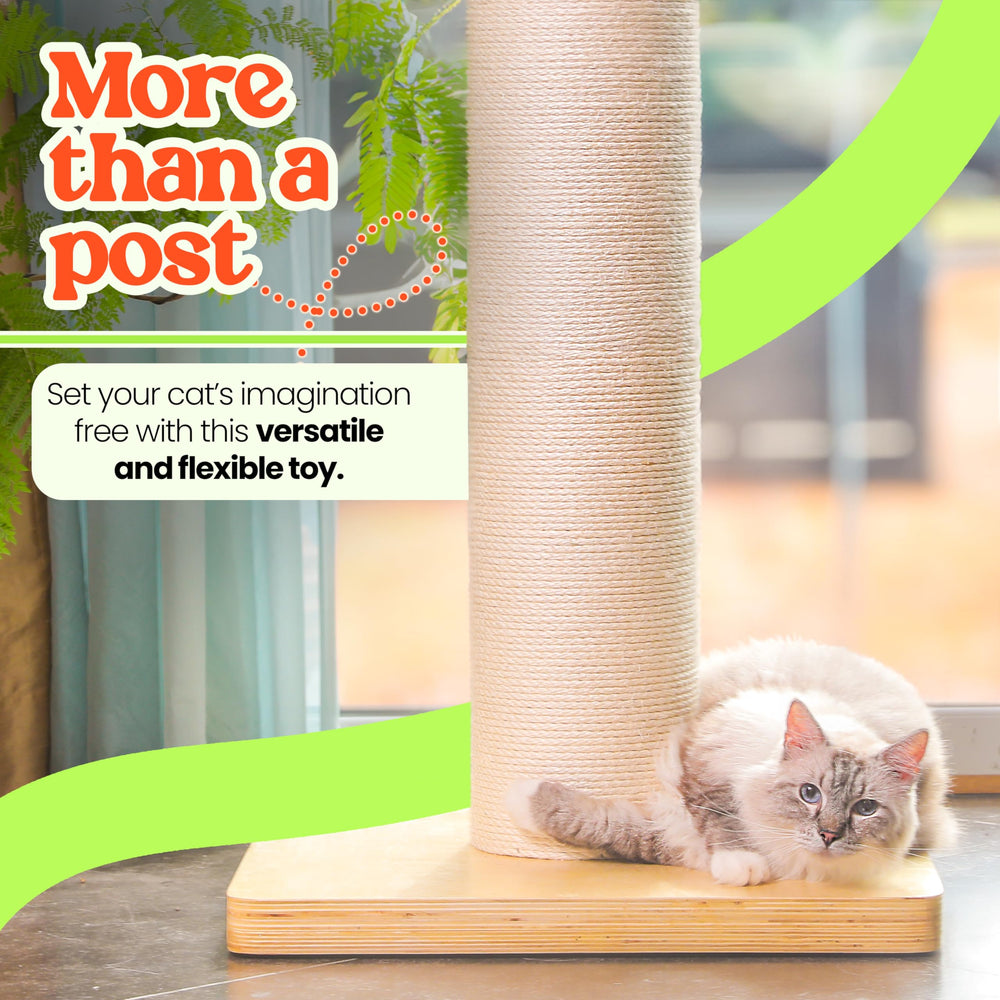 KONELCARE large-cat play tree encourages climbing and exercise in a dedicated space.