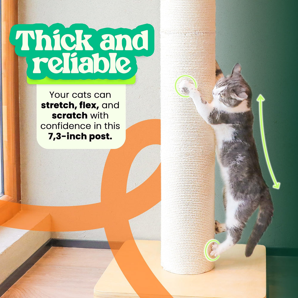KONELCARE natural sisal rope provides satisfying texture for scratching and grooming.