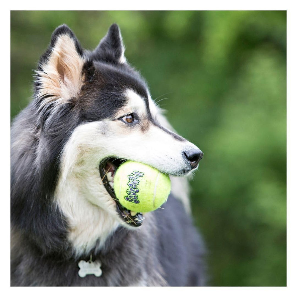 KONG Air Dog Squeaker Tennis Ball XL four-pack packaging highlighting bundle.