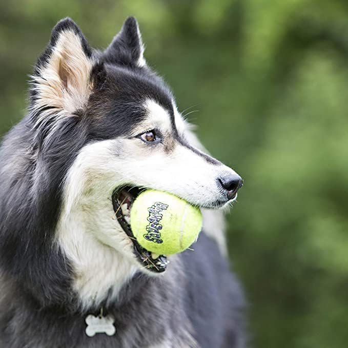 Close-up of squeaker inside KONG Air ball for small dogs – interactive fetch toy