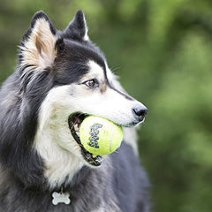 Close-up of squeaker inside KONG Air ball for small dogs – interactive fetch toy