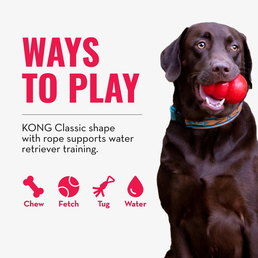 KONG Aqua Floating Toy supports water retriever training with durable materials.