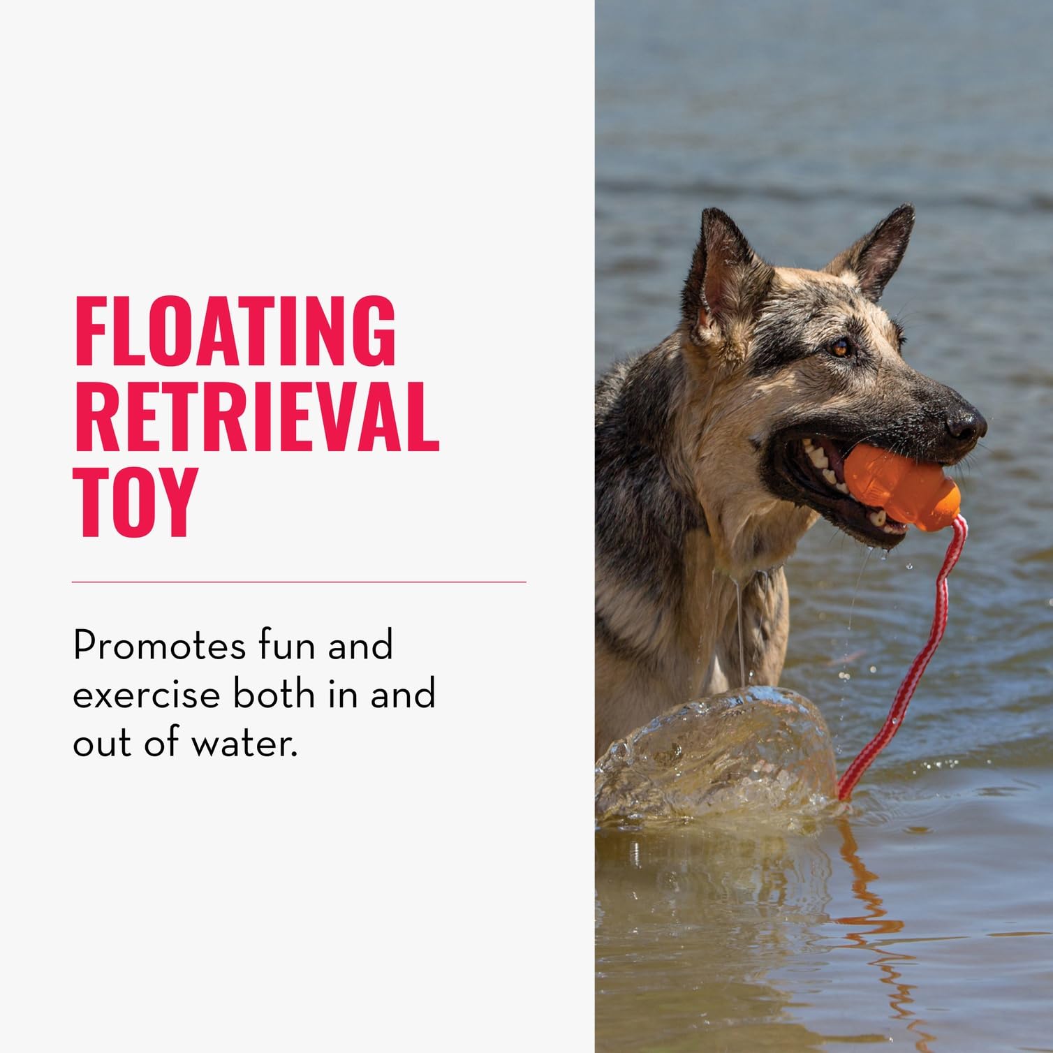 KONG Aqua Floating Toy features a rope for longer throws and extended play.