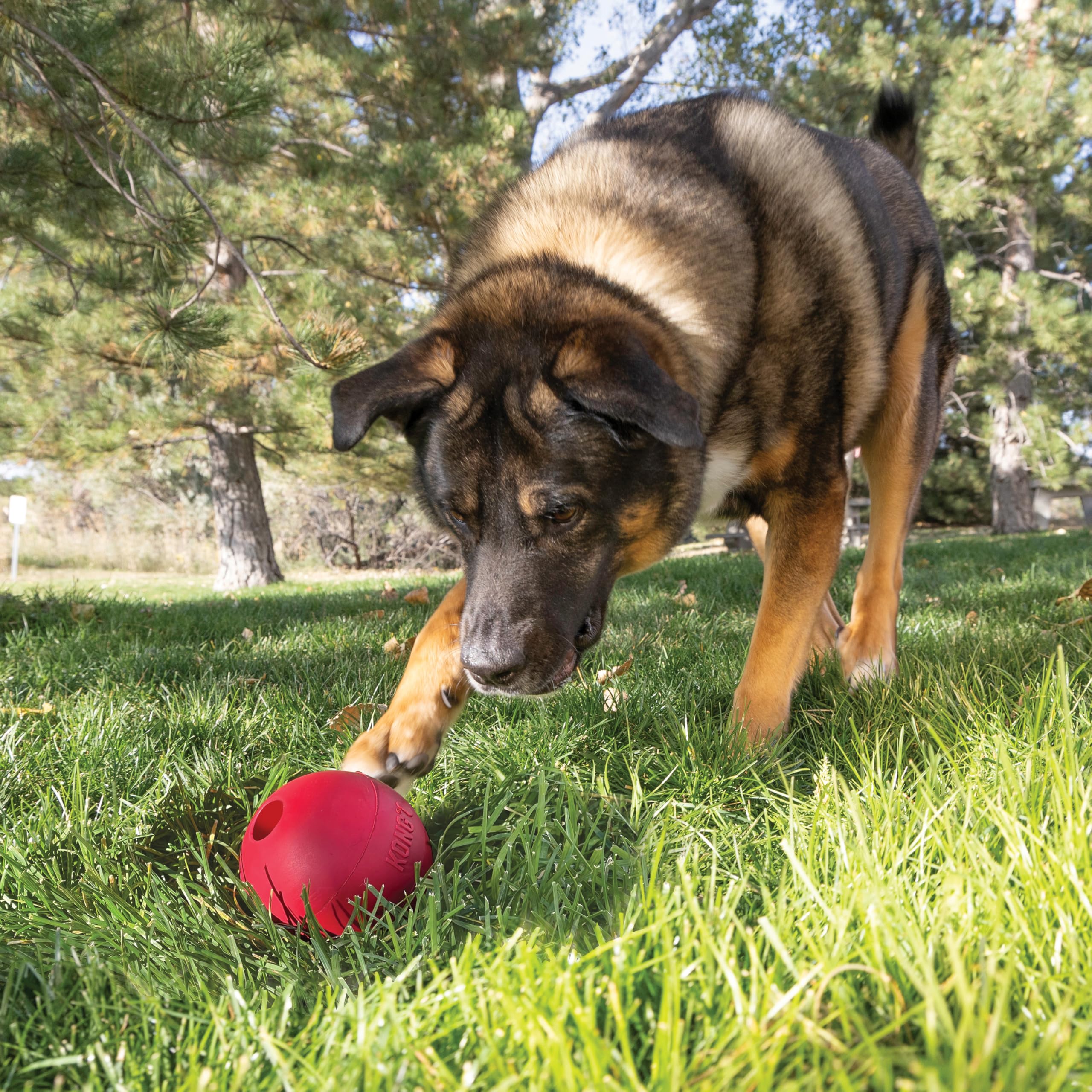 KONG Ball with Hole red side view, high visibility during play.