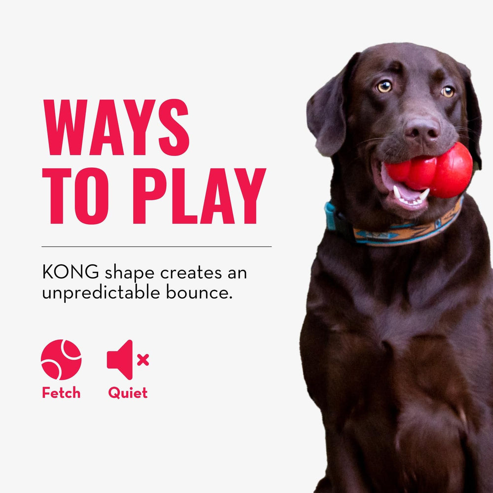 KONG Bounzer XL oversized design for large breeds