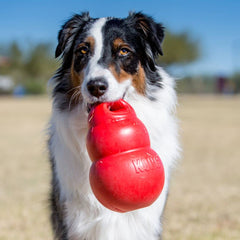 KONG Bounzer XL squeezable sensation ready for self-play