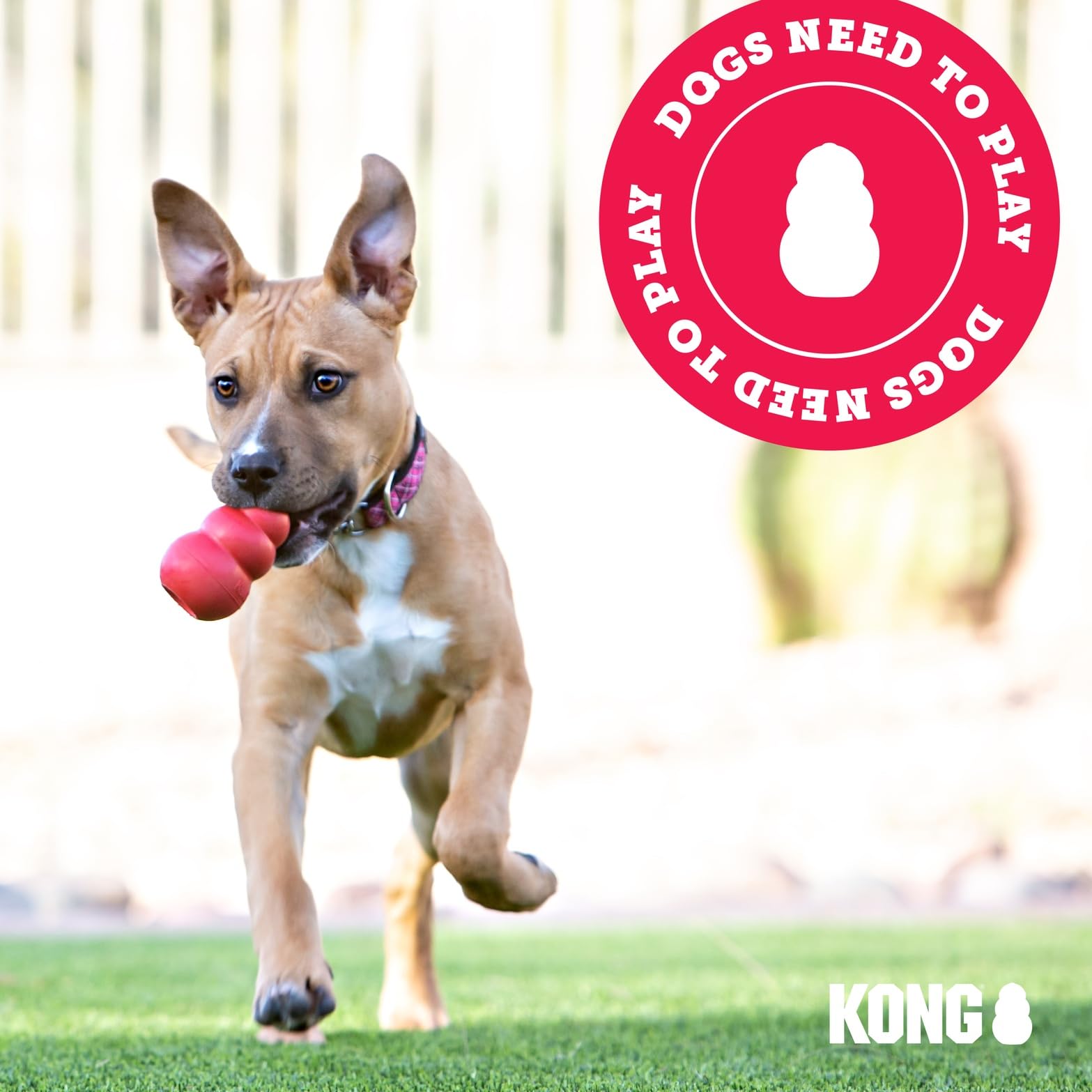 KONG Bounzer XL promotes interactive fetch and tug sessions