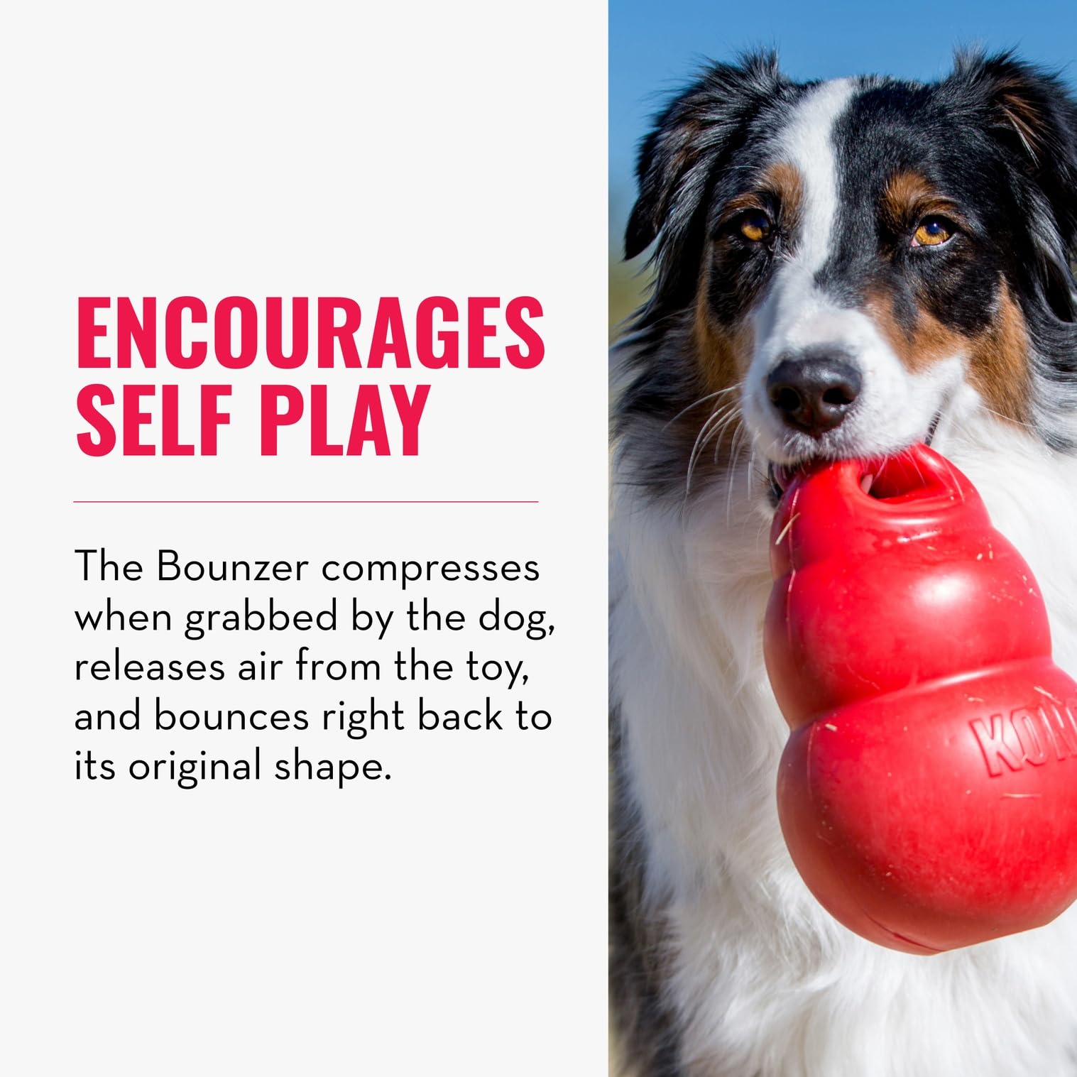 KONG Bounzer XL unpredictable bounce enhances outdoor fetch games