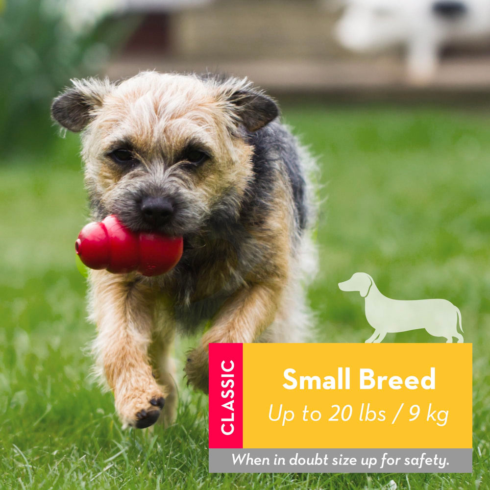 KONG Classic with erratic bounce stimulates engagement during fetch and solo chewing.
