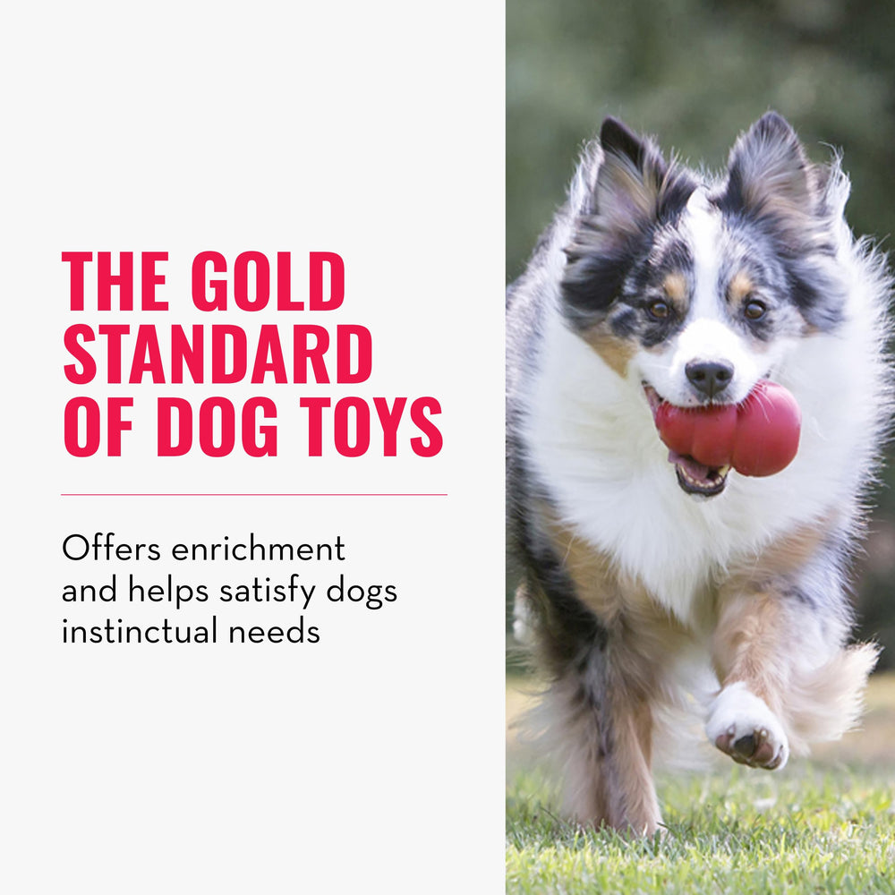 KONG Classic red rubber toy, durable for tough chewers.