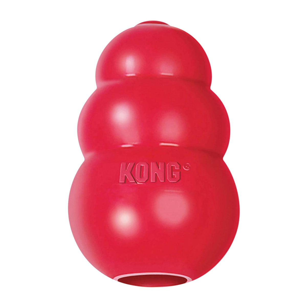 KONG Classic Stuffable Dog Toy with bounce for interactive play and mental stimulation.