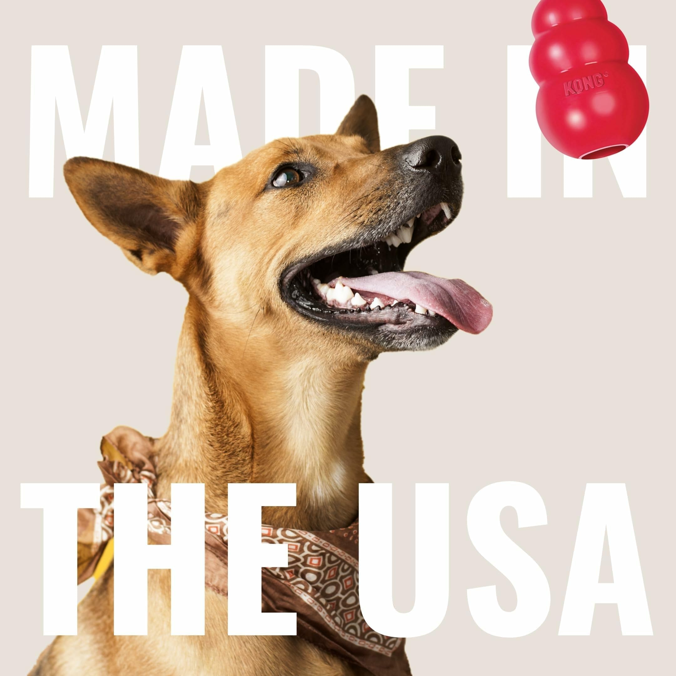 KONG Classic heavy-chewer friendly design for focused chewing.