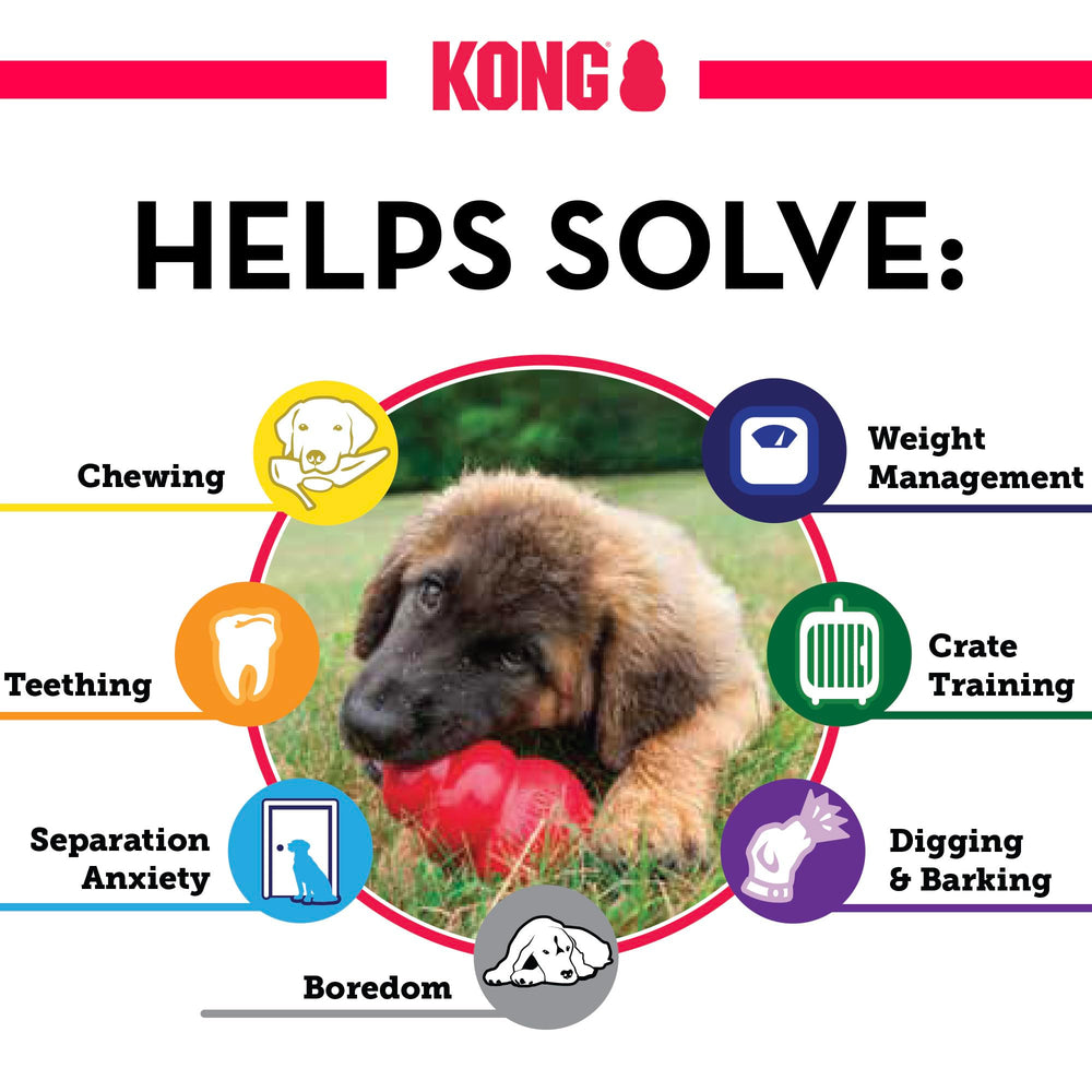 KONG Classic stuffed with treats for longer, mentally engaging play.