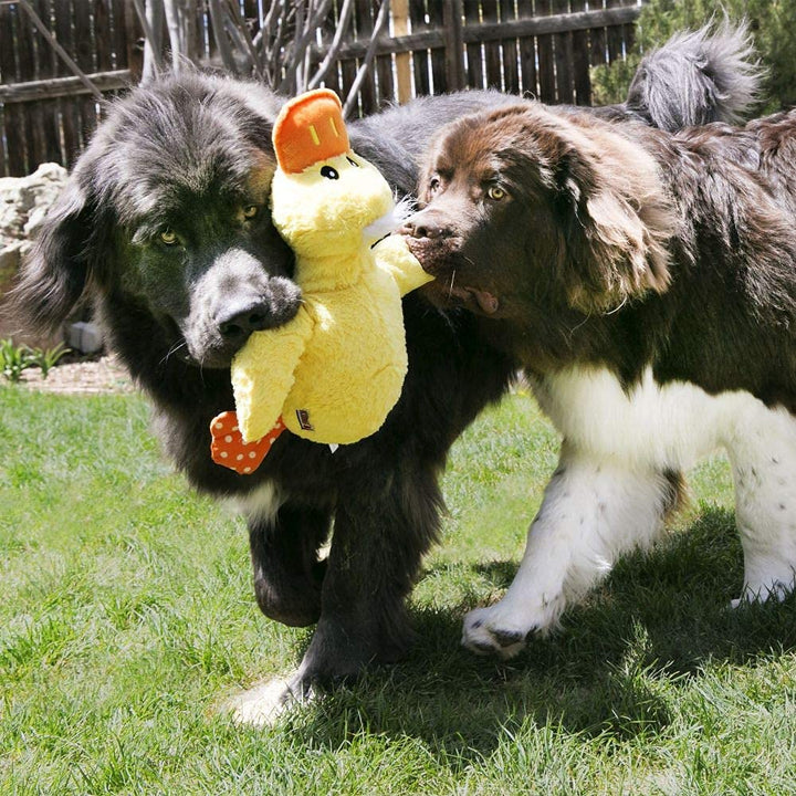 KONG Comfort Duck Jumbo crinkle sounds boost engagement during play