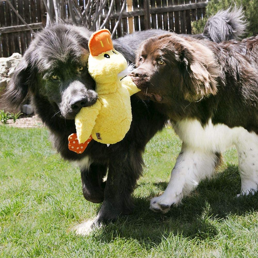 KONG Comfort Duck Jumbo crinkle sounds boost engagement during play