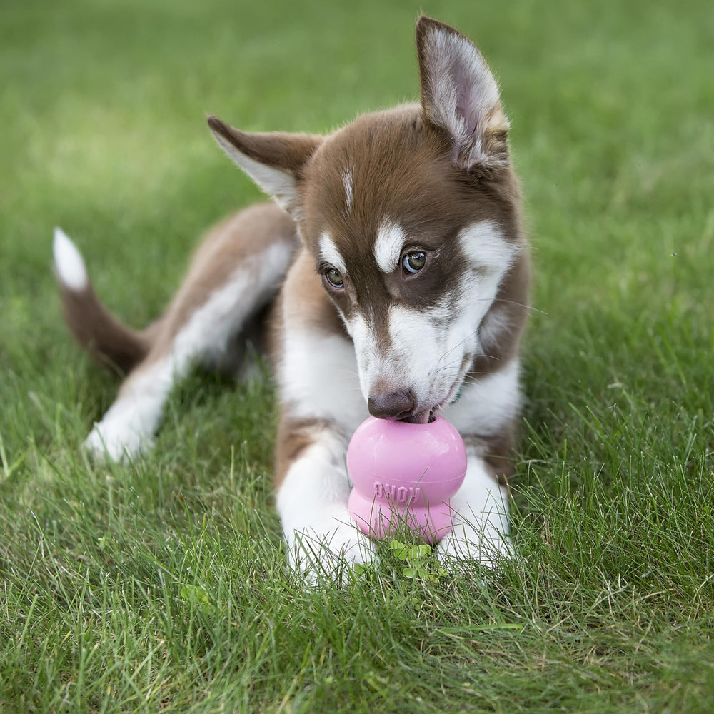 No-mess nozzle controls amount when stuffing KONG toys