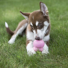 No-mess nozzle controls amount when stuffing KONG toys