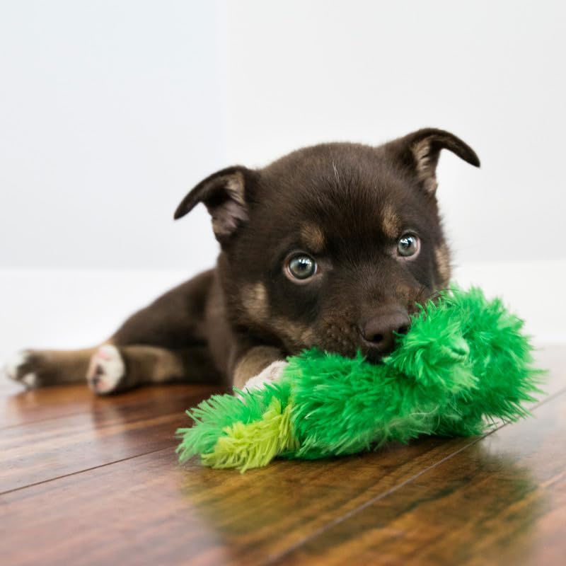 KONG Extra Squeaker included to extend playtime for active dogs.