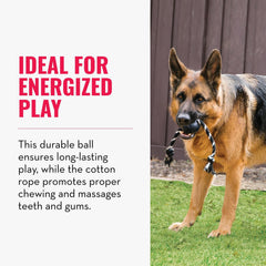 KONG Extreme ball with rope is puncture resistant for safe play.