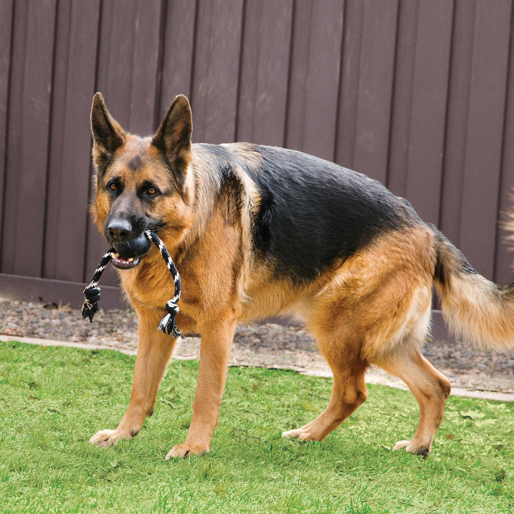 KONG Extreme ball rope fetch close-up shows durable natural rubber surface.