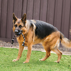 KONG Extreme ball rope fetch close-up shows durable natural rubber surface.