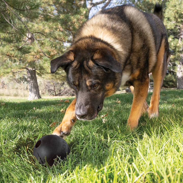 KONG Extreme Ball with Hole showing rugged natural rubber for long-lasting use.