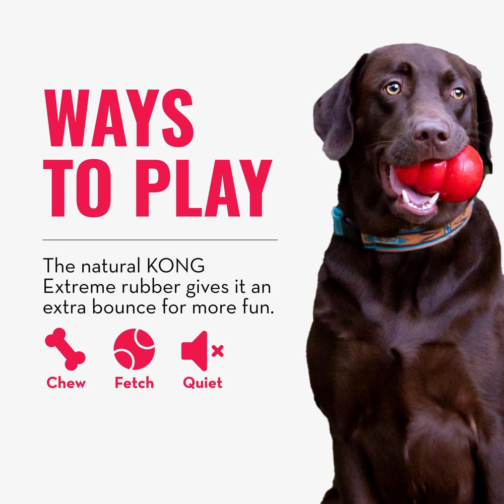 KONG Extreme Ball with Hole large dogs image shows tough toy built for power chewers