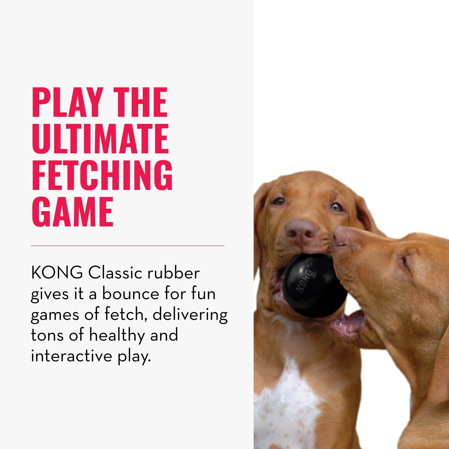 KONG Extreme Ball with Hole side bounce demonstrates durable rubber for long sessions