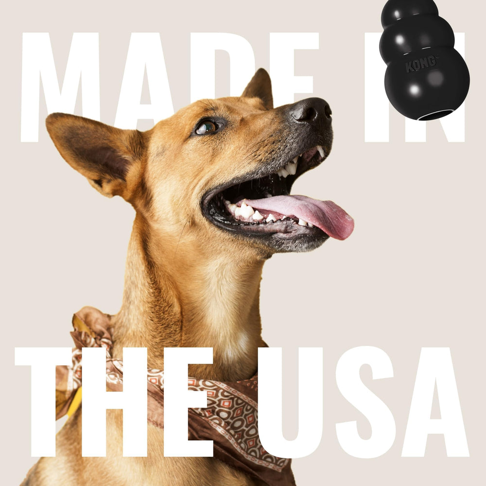 KONG Extreme dishwasher-safe for easy cleanup after chewing.