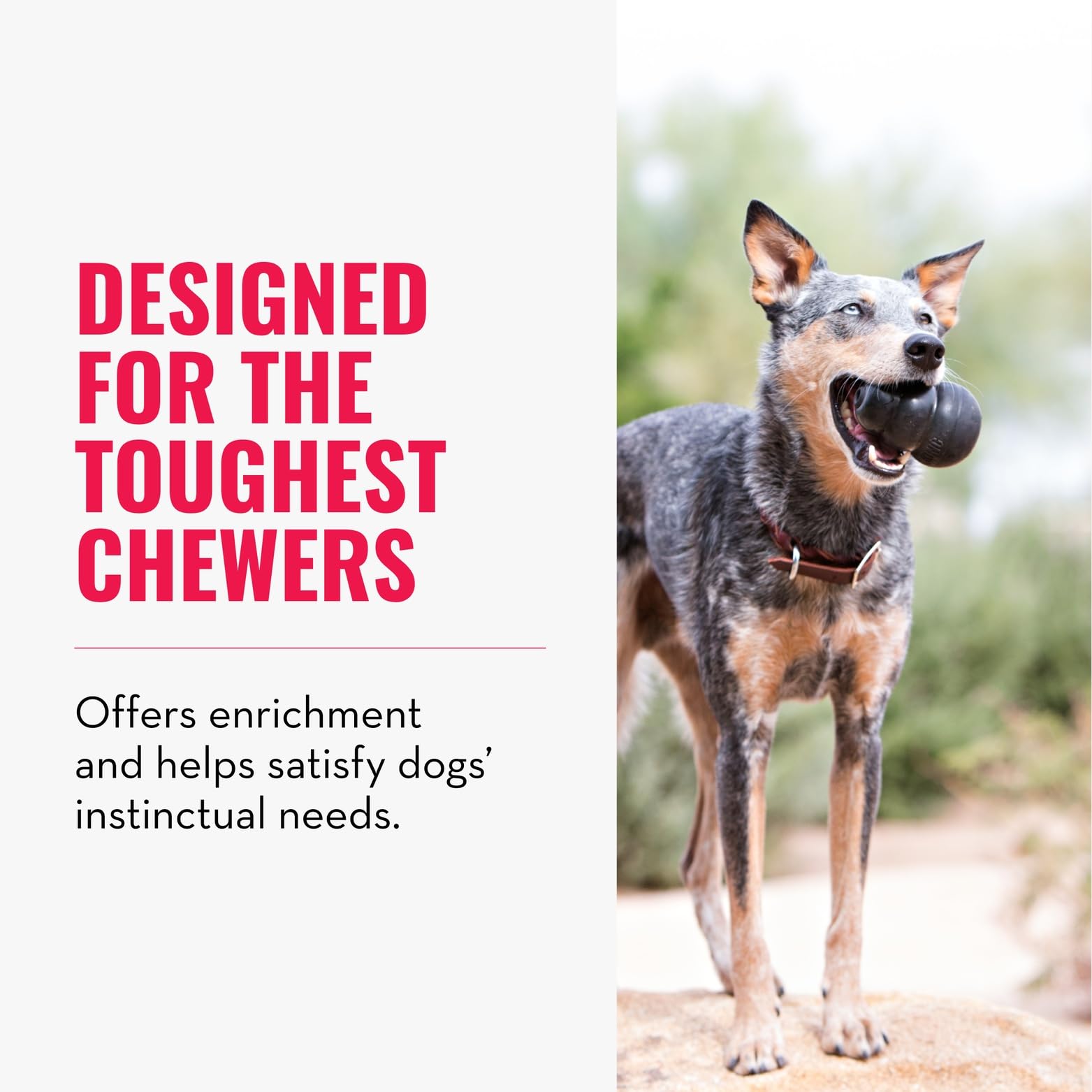 KONG Extreme durable natural rubber for power chewers.