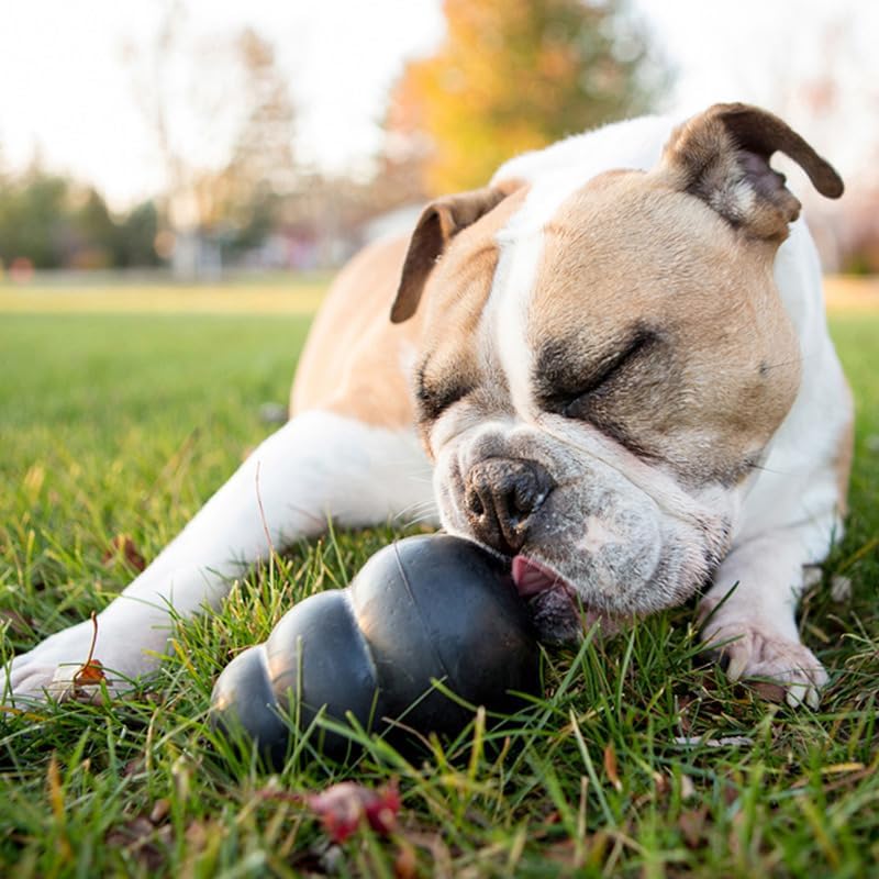 KONG Extreme erratic bounce design keeps dogs engaged during fetch and play.