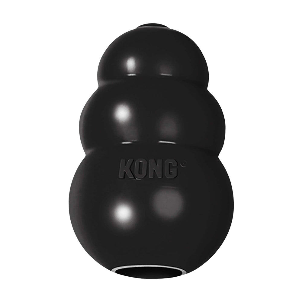 KONG Extreme dog toy with erratic bounce for engaging play.
