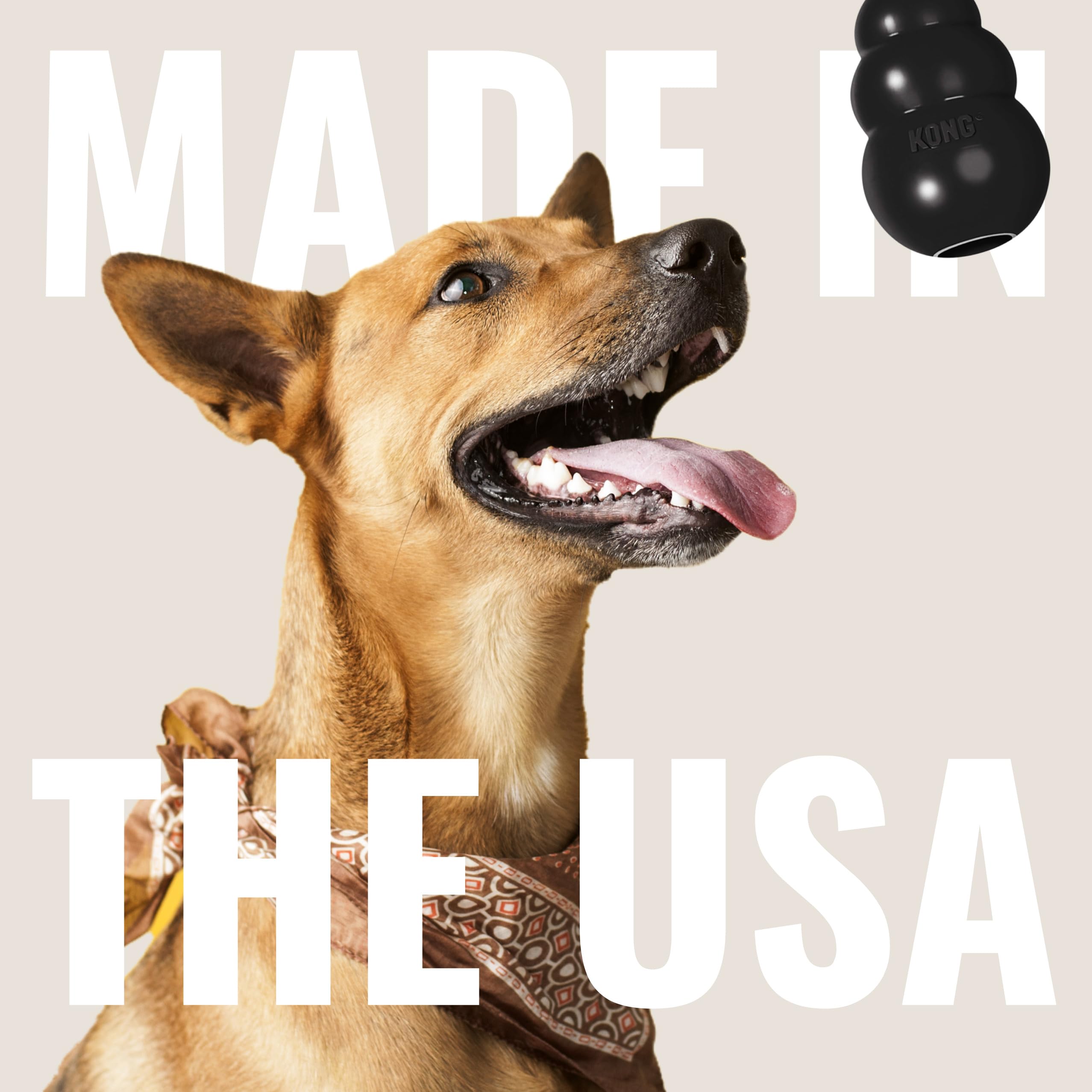 KONG Extreme pack of 2 provides extra chew and fetch options.