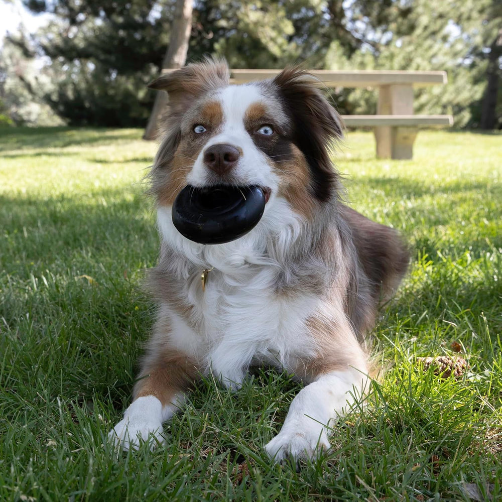 KONG Extreme Donut built for durability and long-lasting chew sessions.